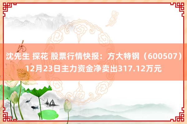 沈先生 探花 股票行情快报：方大特钢（600507）12月23日主力资金净卖出317.12万元