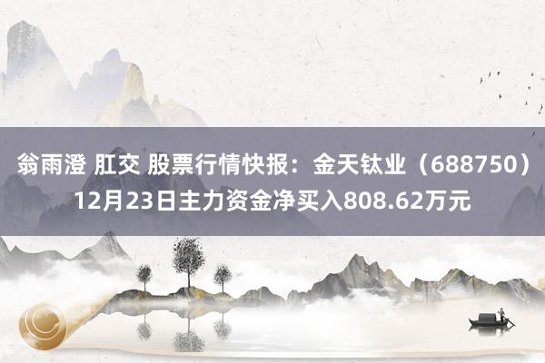 翁雨澄 肛交 股票行情快报：金天钛业（688750）12月23日主力资金净买入808.62万元