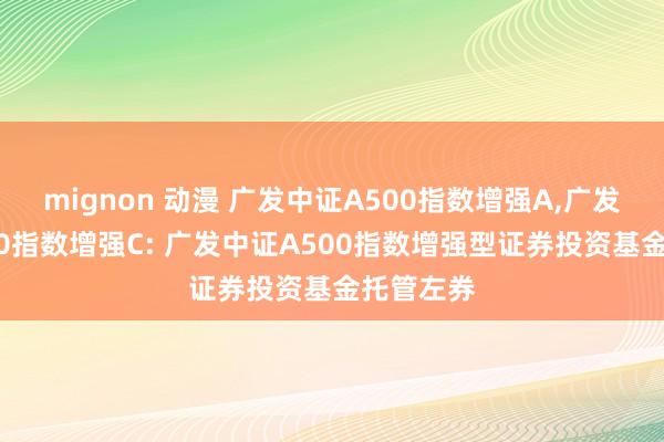 mignon 动漫 广发中证A500指数增强A，广发中证A500指数增强C: 广发中证A500指数增强型证券投资基金托管左券