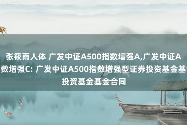 张筱雨人体 广发中证A500指数增强A，广发中证A500指数增强C: 广发中证A500指数增强型证券投资基金基金合同