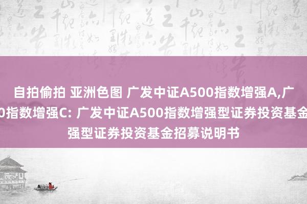 自拍偷拍 亚洲色图 广发中证A500指数增强A，广发中证A500指数增强C: 广发中证A500指数增强型证券投资基金招募说明书