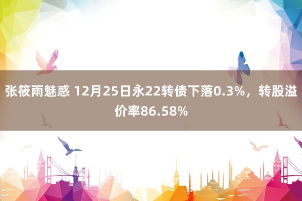 张筱雨魅惑 12月25日永22转债下落0.3%，转股溢价率86.58%