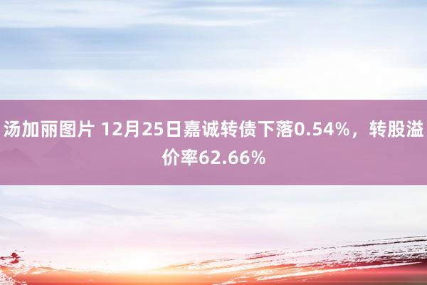 汤加丽图片 12月25日嘉诚转债下落0.54%，转股溢价率62.66%