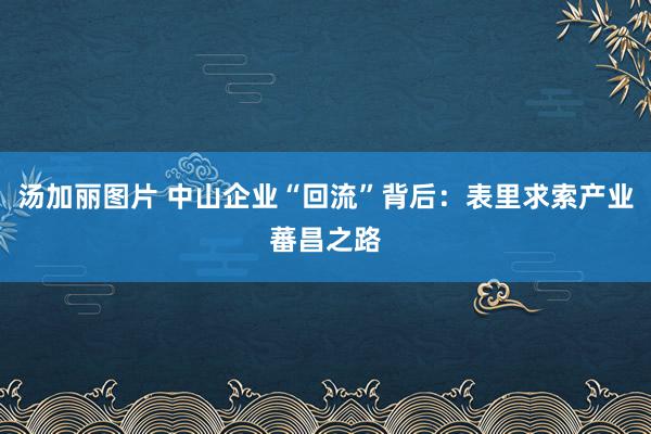 汤加丽图片 中山企业“回流”背后：表里求索产业蕃昌之路