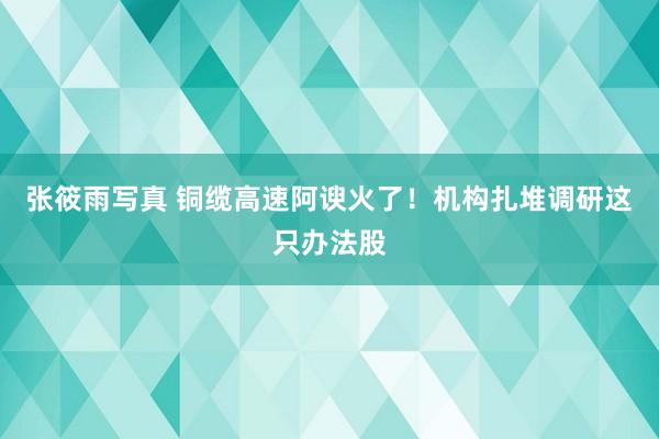 张筱雨写真 铜缆高速阿谀火了！机构扎堆调研这只办法股