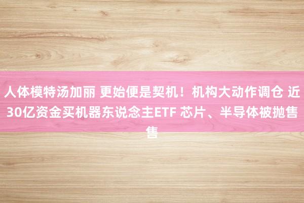 人体模特汤加丽 更始便是契机！机构大动作调仓 近30亿资金买机器东说念主ETF 芯片、半导体被抛售