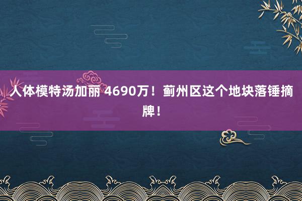 人体模特汤加丽 4690万！蓟州区这个地块落锤摘牌！