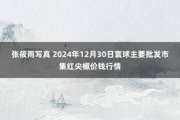 张筱雨写真 2024年12月30日寰球主要批发市集红尖椒价钱行情