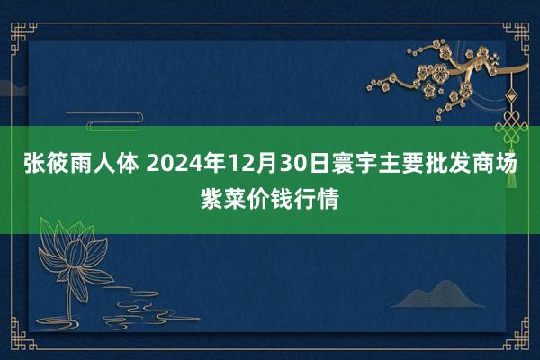 张筱雨人体 2024年12月30日寰宇主要批发商场紫菜价钱行情