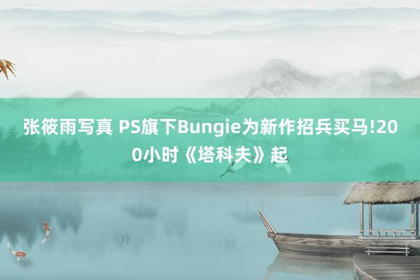 张筱雨写真 PS旗下Bungie为新作招兵买马!200小时《塔科夫》起