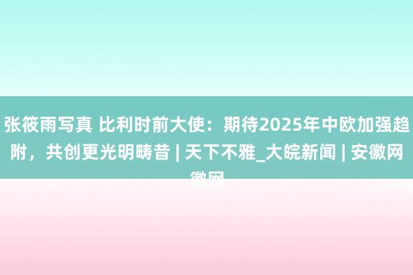 张筱雨写真 比利时前大使：期待2025年中欧加强趋附，共创更光明畴昔 | 天下不雅_大皖新闻 | 安徽网