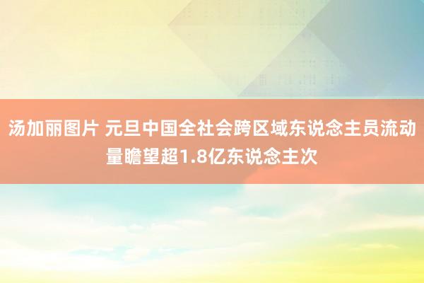 汤加丽图片 元旦中国全社会跨区域东说念主员流动量瞻望超1.8亿东说念主次