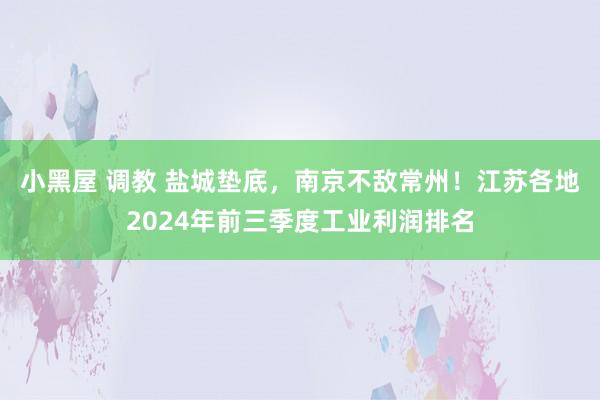 小黑屋 调教 盐城垫底，南京不敌常州！江苏各地2024年前三季度工业利润排名