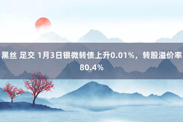 黑丝 足交 1月3日银微转债上升0.01%，转股溢价率80.4%