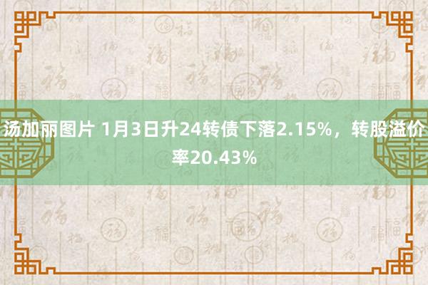 汤加丽图片 1月3日升24转债下落2.15%，转股溢价率20.43%