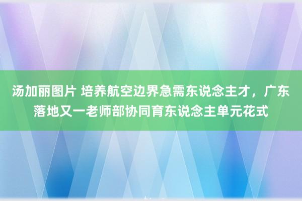 汤加丽图片 培养航空边界急需东说念主才，广东落地又一老师部协同育东说念主单元花式