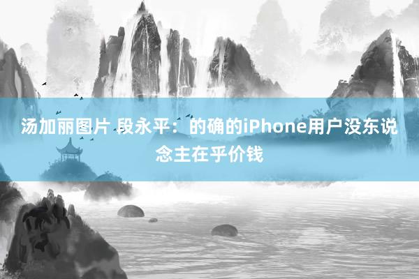 汤加丽图片 段永平：的确的iPhone用户没东说念主在乎价钱