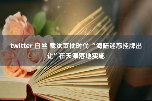 twitter 白丝 裁汰审批时代 “海陆迷惑挂牌出让”在天津落地实施