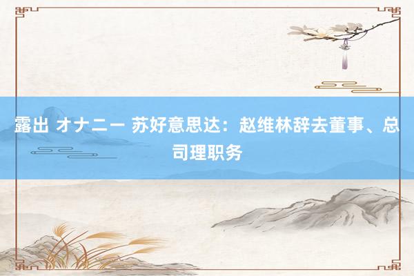 露出 オナニー 苏好意思达：赵维林辞去董事、总司理职务