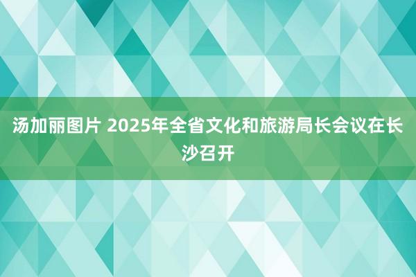 汤加丽图片 2025年全省文化和旅游局长会议在长沙召开