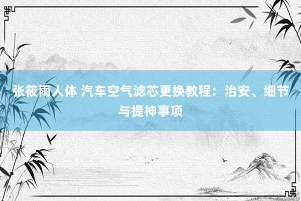 张筱雨人体 汽车空气滤芯更换教程：治安、细节与提神事项