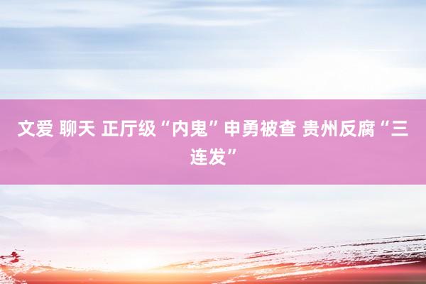 文爱 聊天 正厅级“内鬼”申勇被查 贵州反腐“三连发”