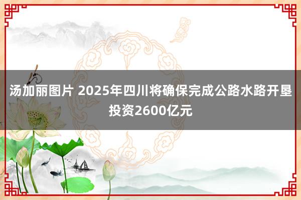 汤加丽图片 2025年四川将确保完成公路水路开垦投资2600亿元