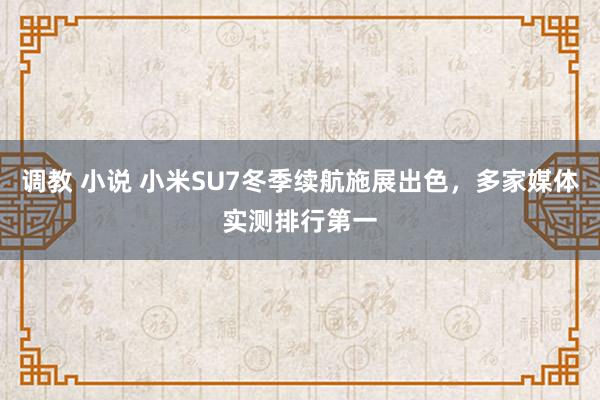 调教 小说 小米SU7冬季续航施展出色，多家媒体实测排行第一