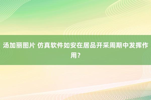 汤加丽图片 仿真软件如安在居品开采周期中发挥作用？