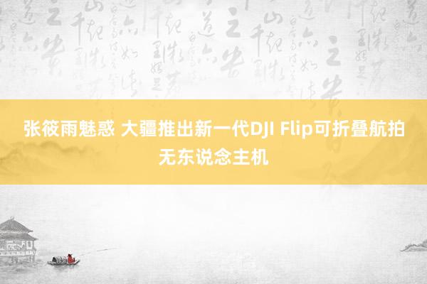 张筱雨魅惑 大疆推出新一代DJI Flip可折叠航拍无东说念主机