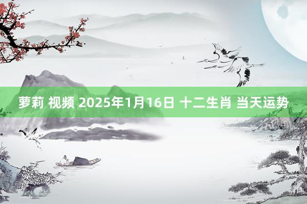 萝莉 视频 2025年1月16日 十二生肖 当天运势